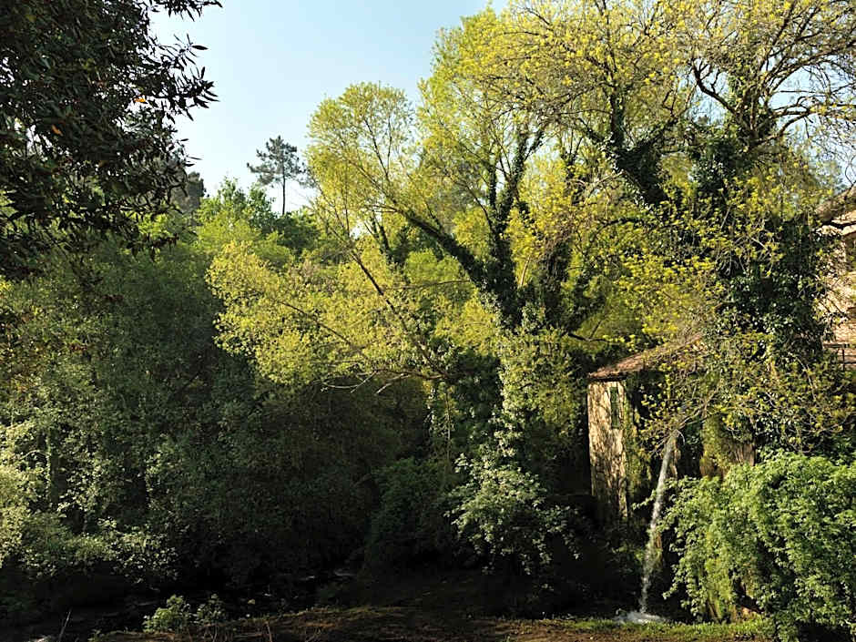 A Quinta Da Auga Hotel Spa Relais & Chateaux