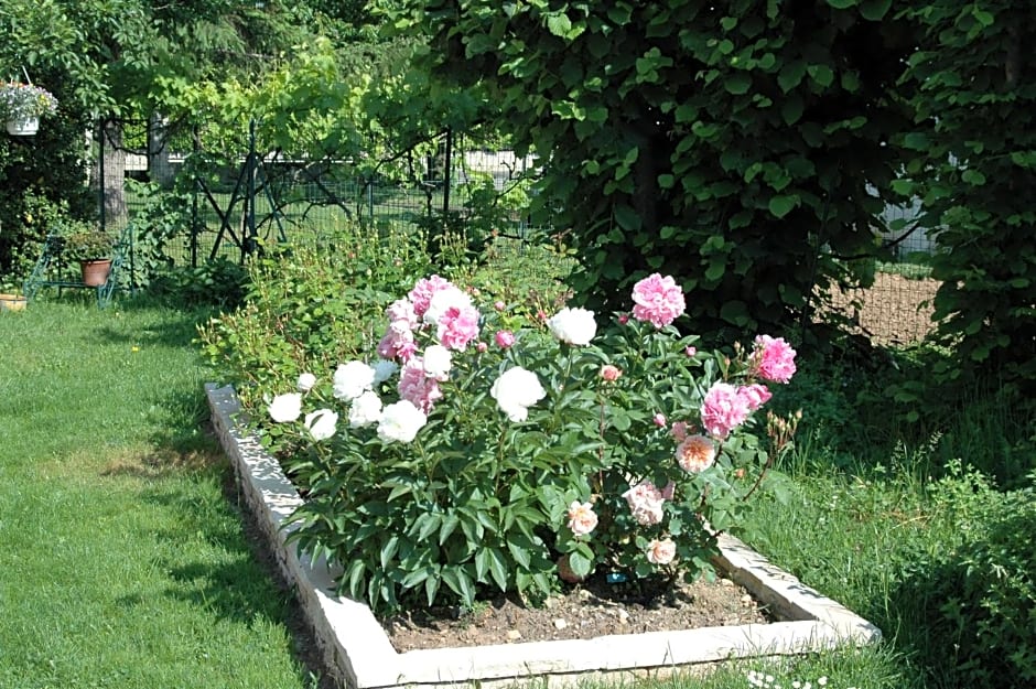 Le Jardin de Roses DOMINIQUE LOREAU