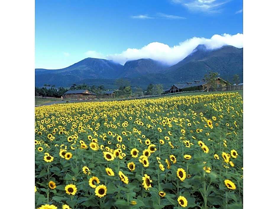 Resonate Club Shape - Vacation STAY 60134v