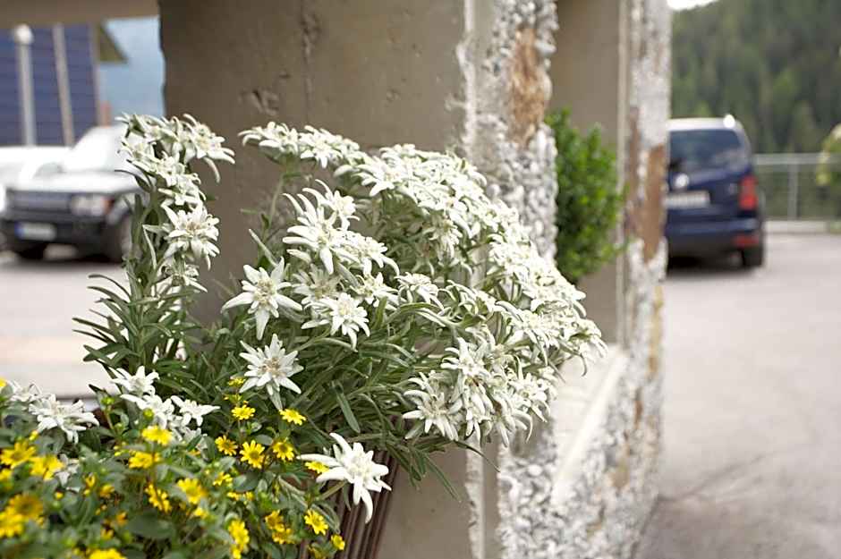 Hotel Pension Geiger