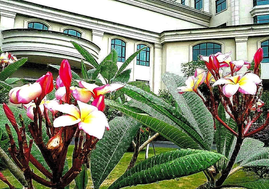 LN Dongfang Hotel Sihui