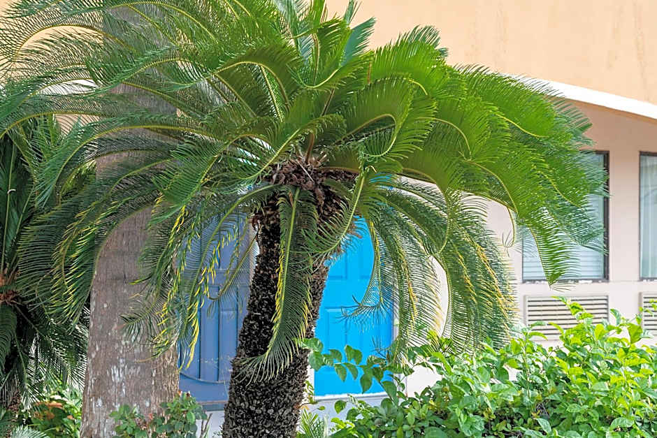 Island Inn By OYO Galveston Beach, TX