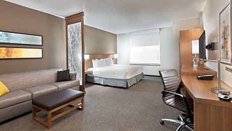 Accessible Suite/King Bed/Roll-in Shower (plus sofa bed)