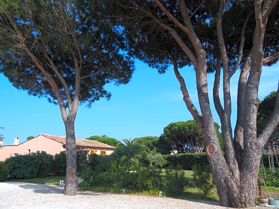 Chambres d'hôtes Villa Alizé