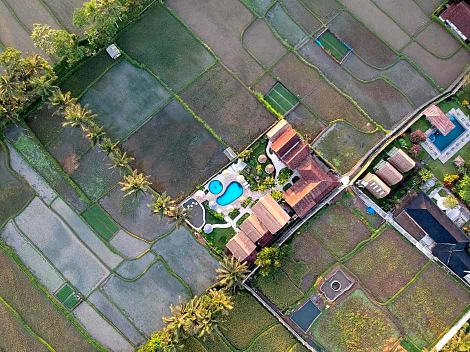 Tetebatu Flush Harmony