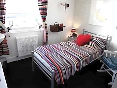 Rough Trade Rough Night Single Room