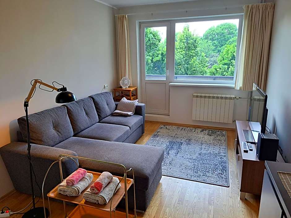 Volvi Apartment