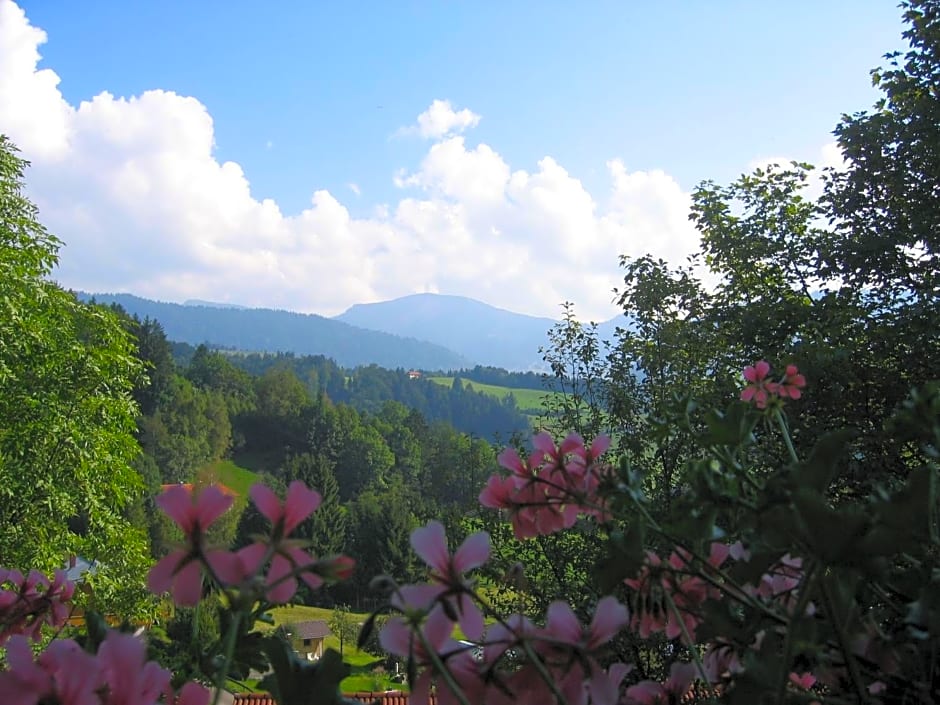 H+ Hotel Balance Oberstaufen