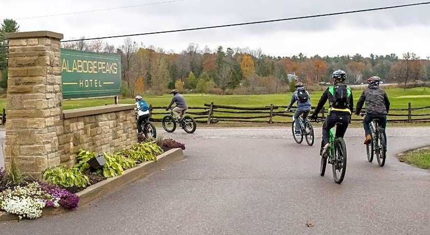 Calabogie Peaks Resort, an Ascend Collection Hotel