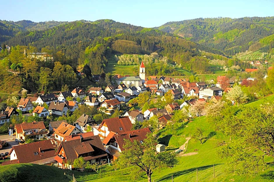 Hotel Pflug
