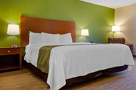 1 King Bed, Nonsmoking, Accessible