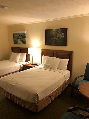 Standard Double Room with Two Double Beds