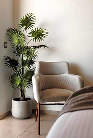 Superior Patio Sea View Room