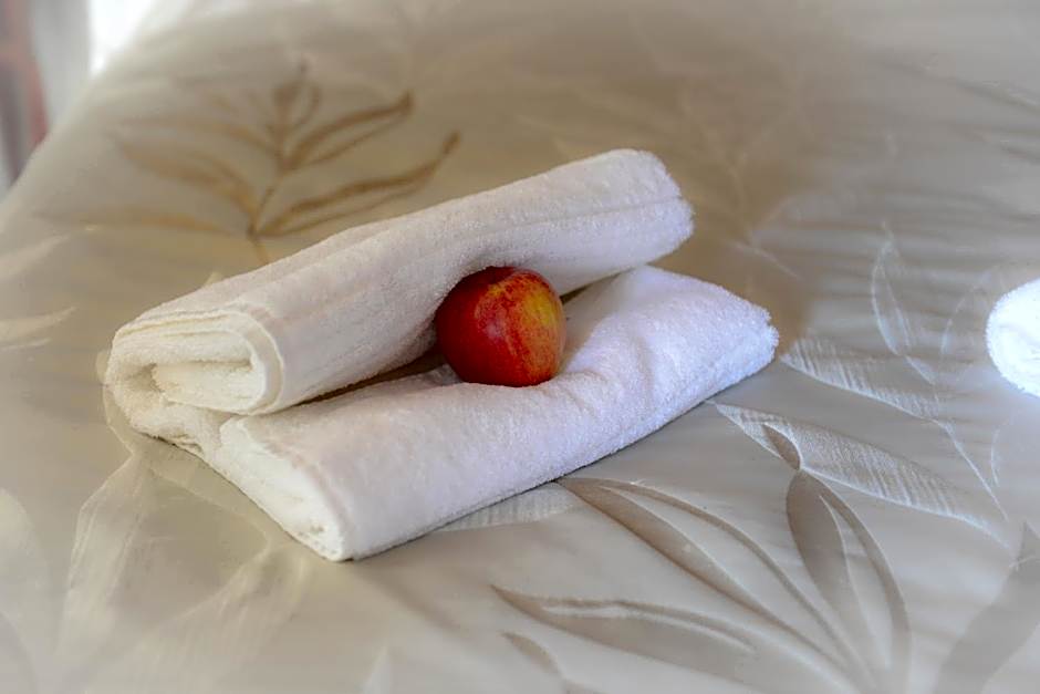 Logis Hôtel et Restaurant du Dauphin