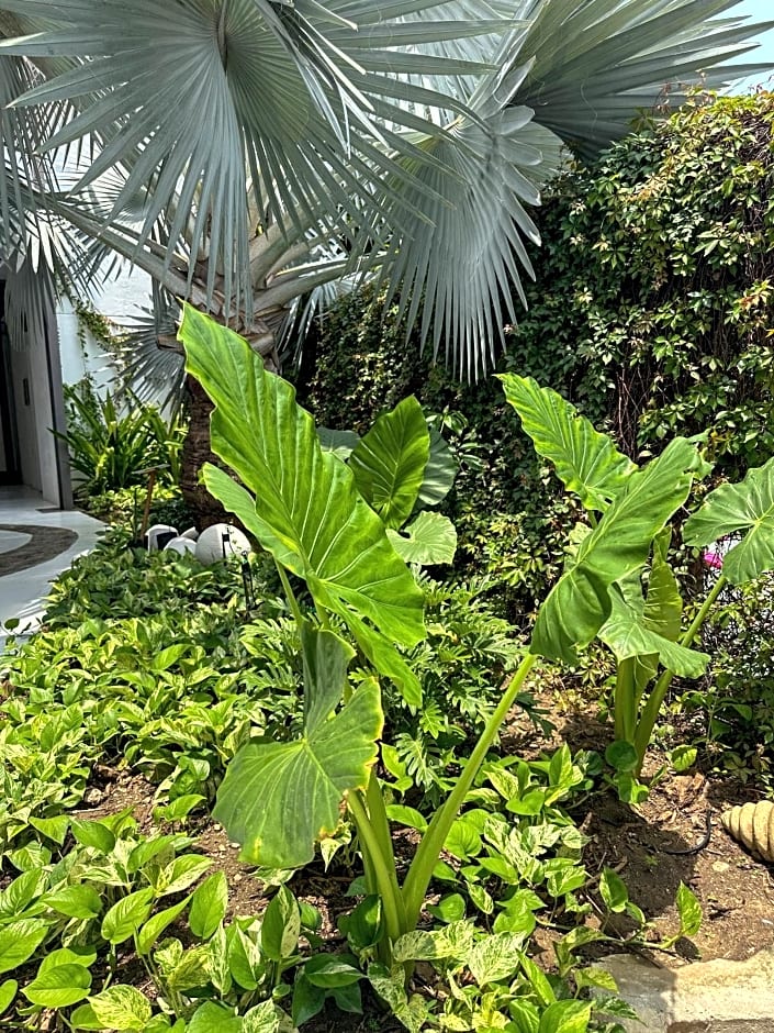 Best Western Posada Chahue