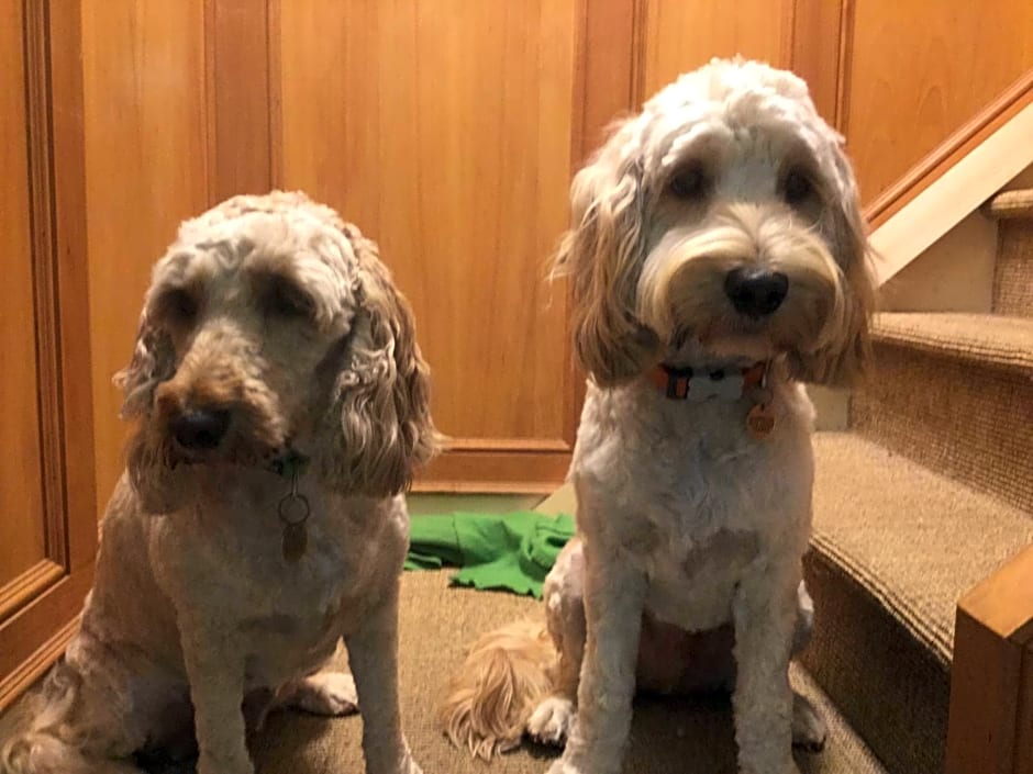 Highview Bed and Breakfast