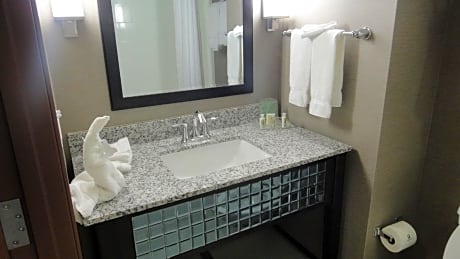 Holiday Inn Hotel & Suites Northwest San Antonio, an IHG Hotel