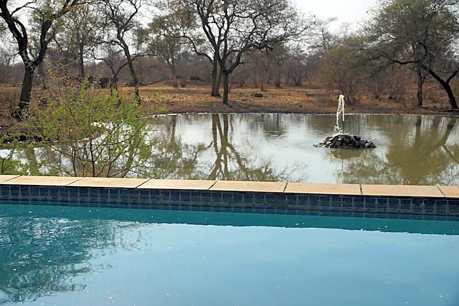 Kwele Game Lodge