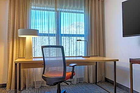 Suite, 1 Bedroom (1 King Bed and 1 Double Sofa Bed)