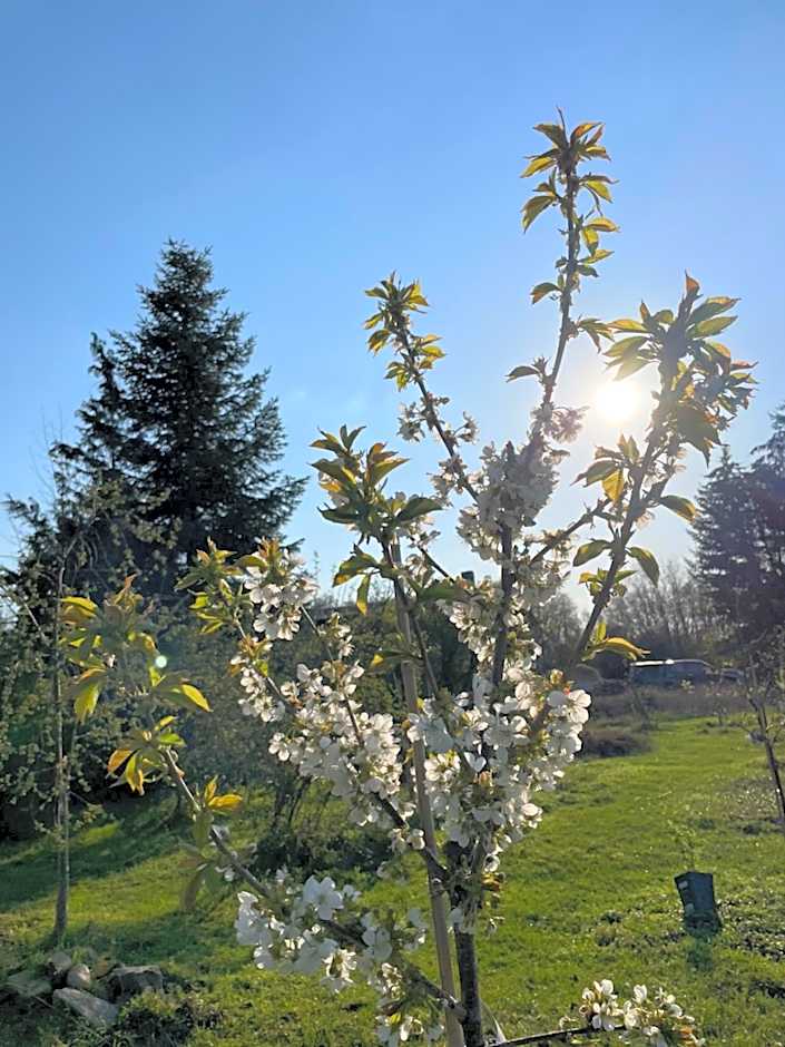 Eichenhof Hotel Garni