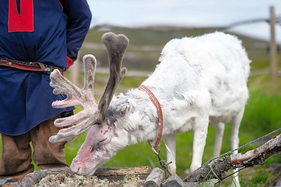 Scandic Nordkapp