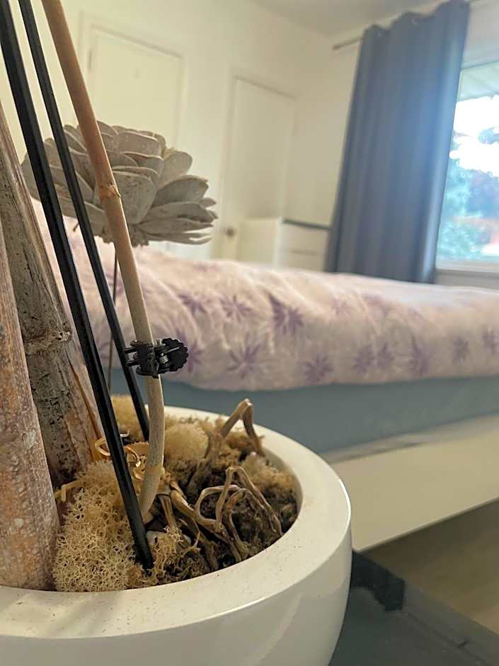 Vacation house Entire floor Kids yard walk 2 subway