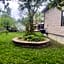 The Grassy Oasis