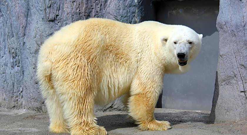 Tabist THE GREEN ASAHIKAWA