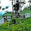 Neelakurunji Plantation Munnar