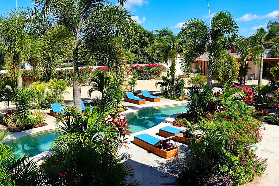 Blue Palm Bacalar