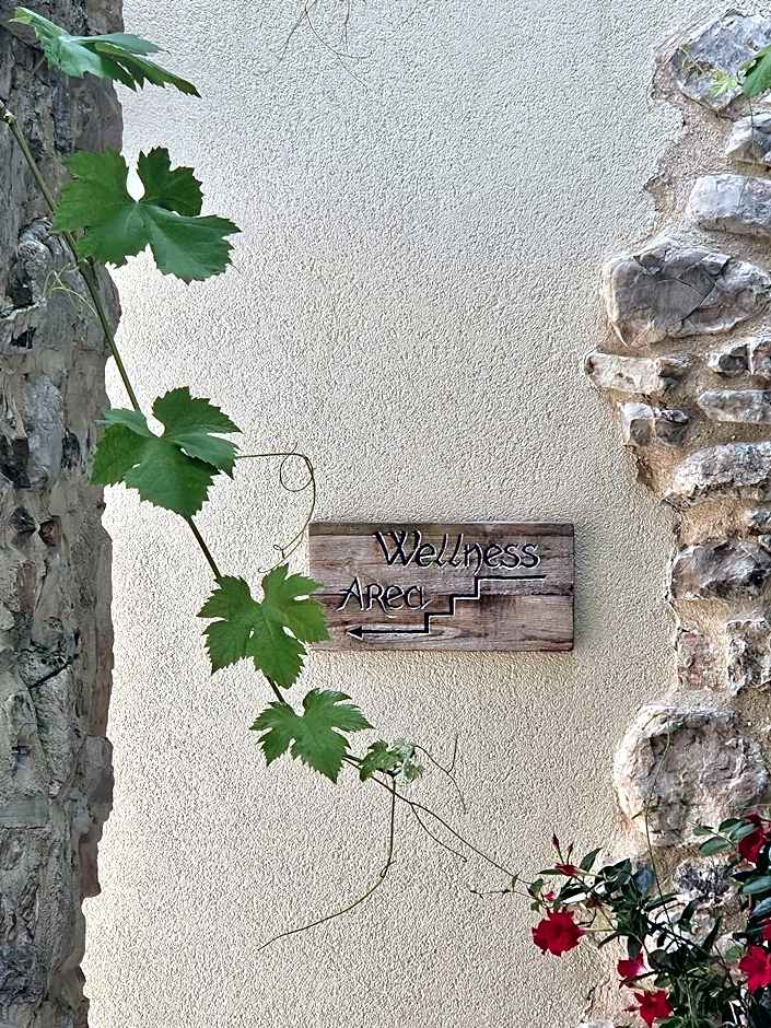 Le Zitelle di Ron
