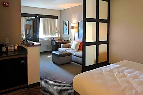 1 King Bed Suite Nonsmoking