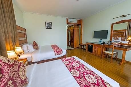 Superior Double or Twin Room with City View