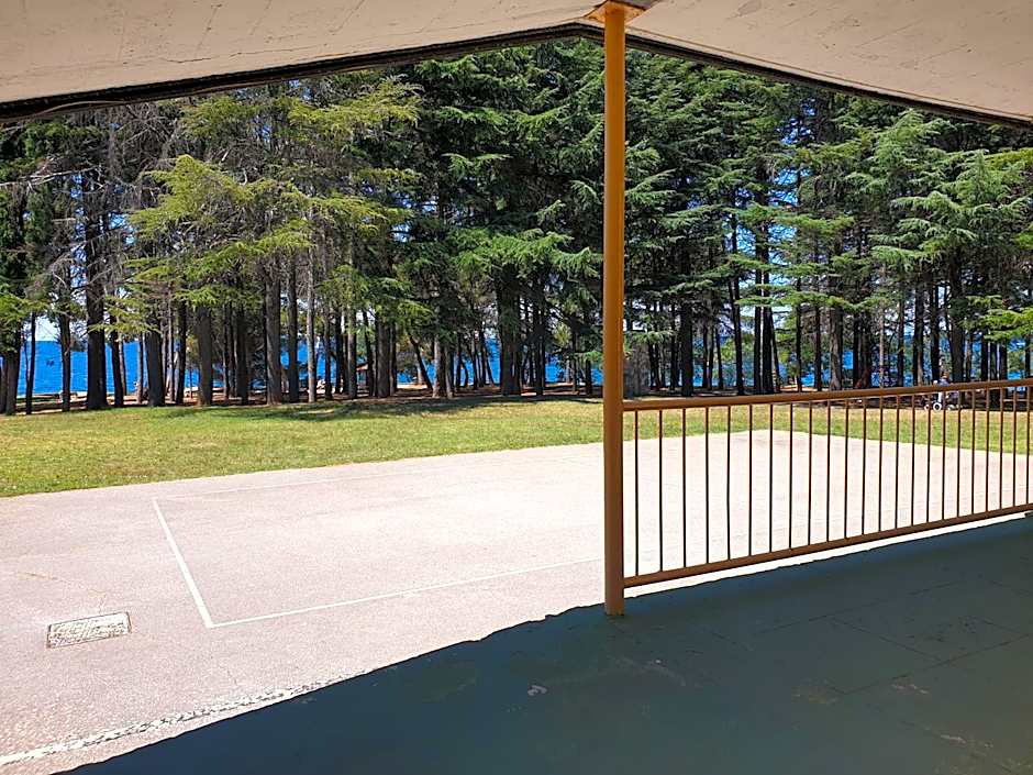 Youth Hostel Pinesta