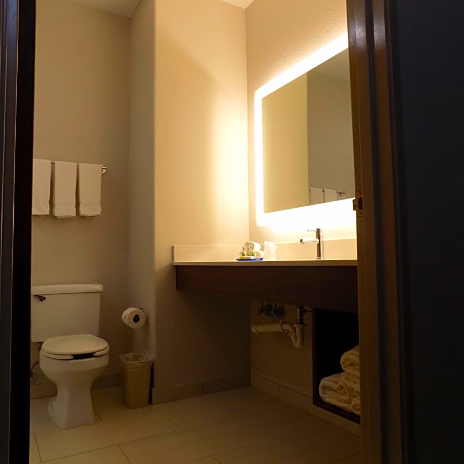 Holiday Inn Express Hotel & Suites Mission-McAllen Area, an IHG Hotel