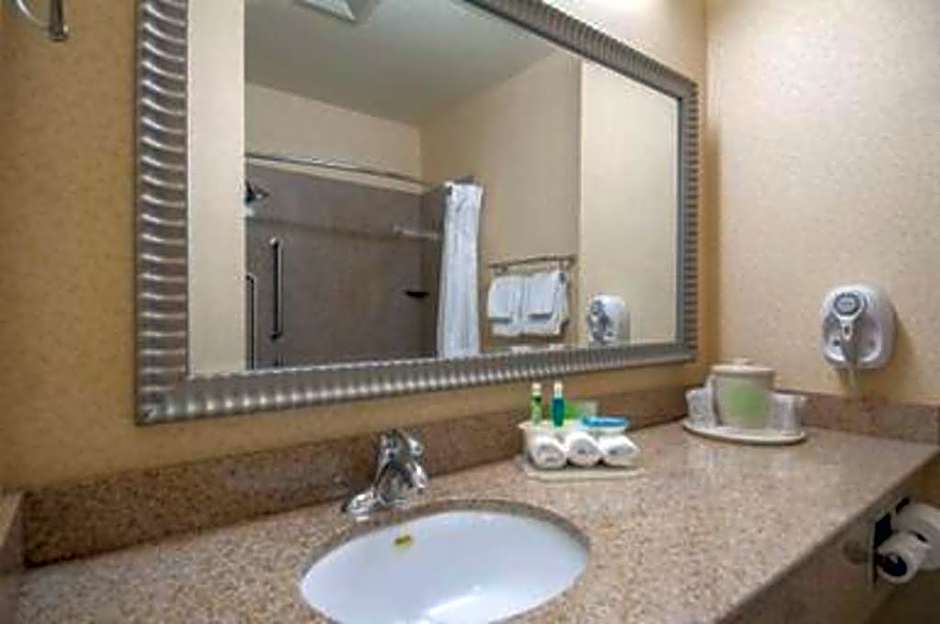 Holiday Inn Express Hotel & Suites Bakersfield Central By IHG