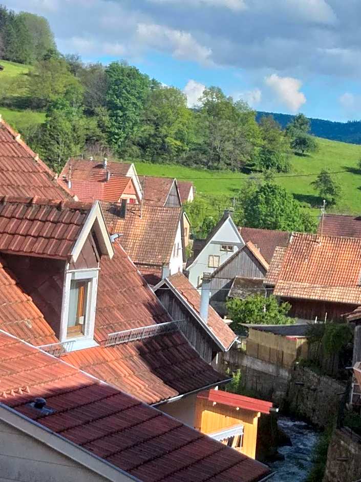 Résidence SoAnSa du Gérardmer de la Sci Rsast - Col de la Schlucht