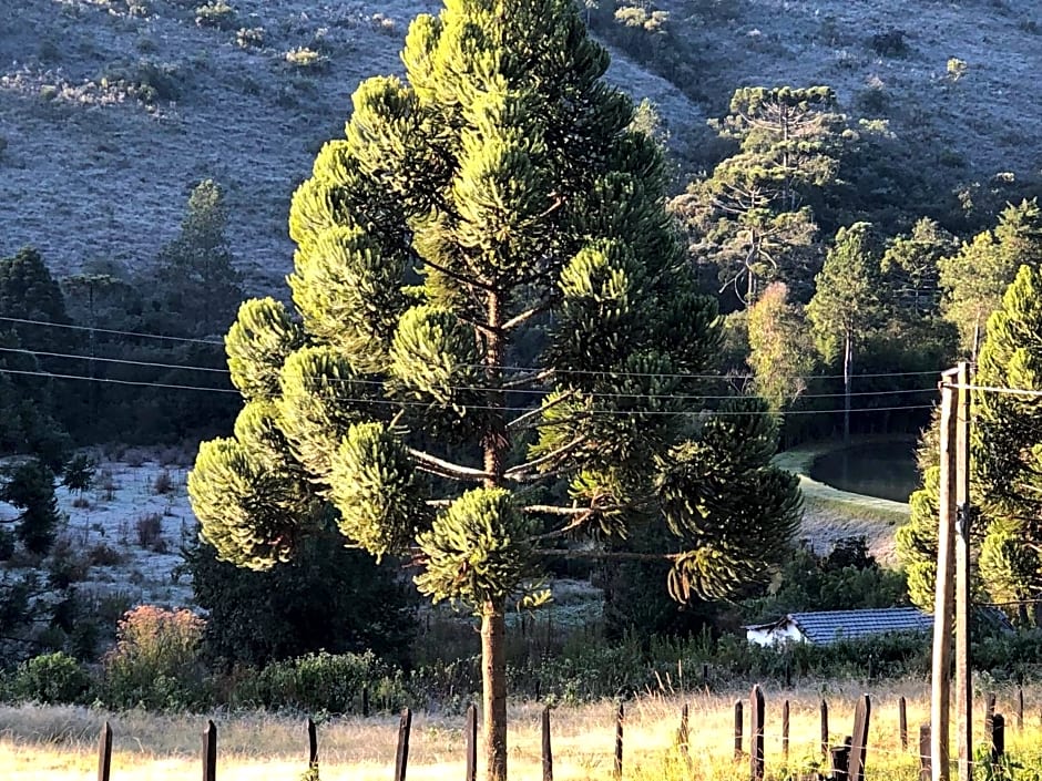 Pousada Pedra da Mata chales na montanha