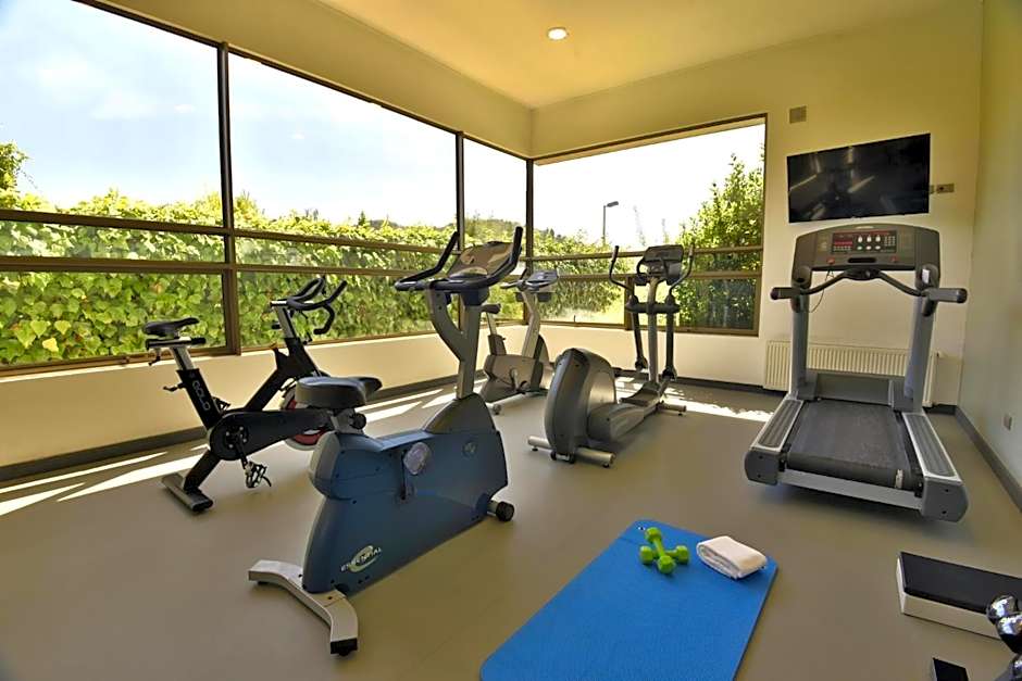 Holiday Inn Express Temuco By IHG