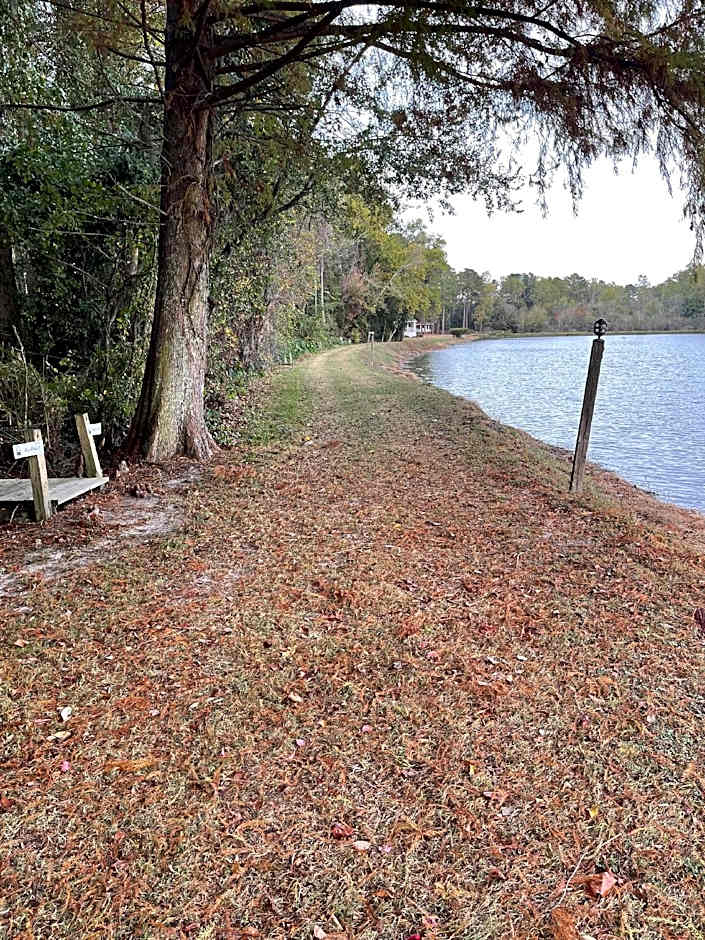 Gin Creek Plantation
