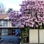 Argyle On The Park - Central Christchurch Motel Overlooking Hagley Park