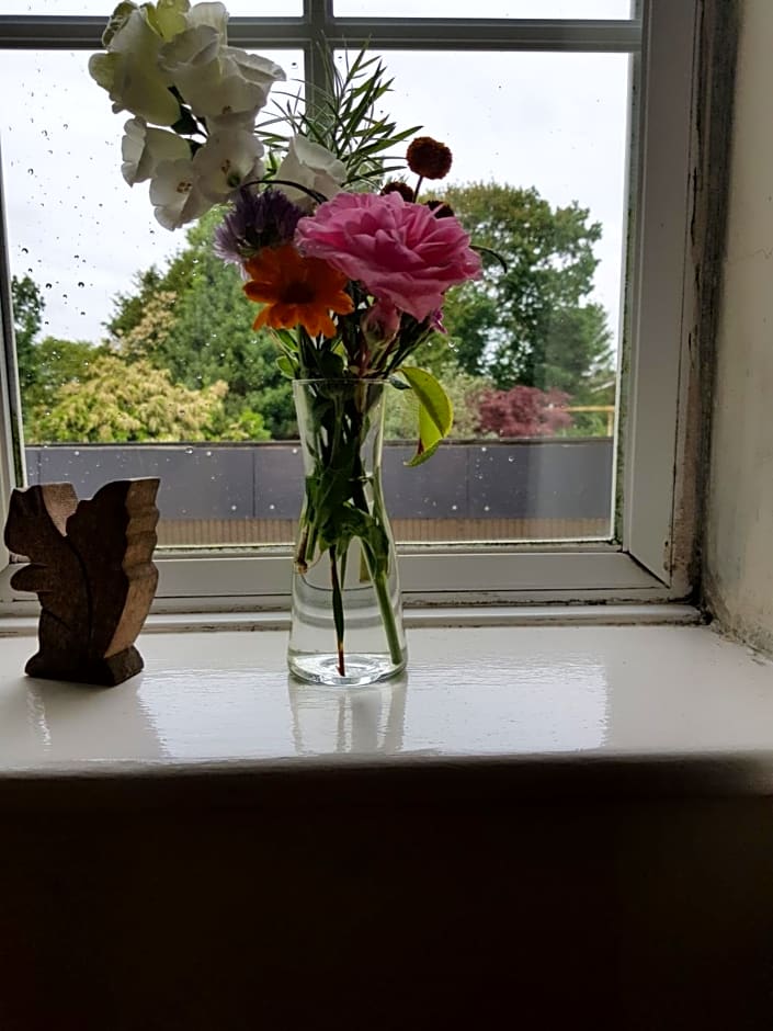 Kingsmede Bed & Breakfast