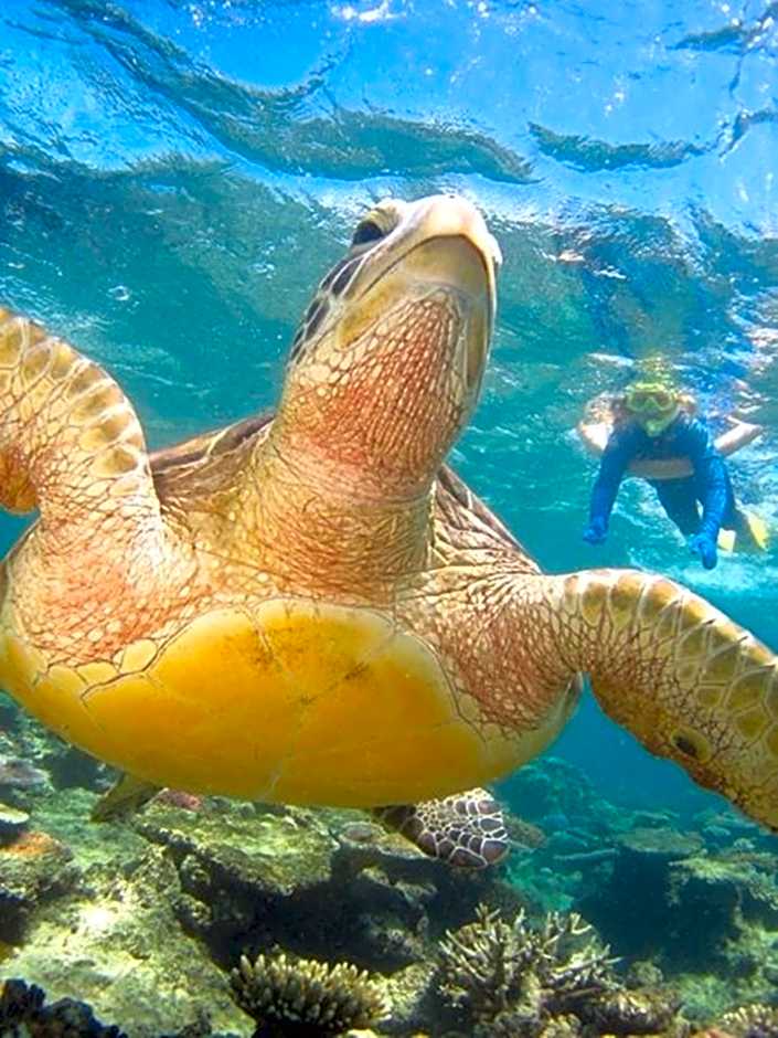 Port Douglas Retreat