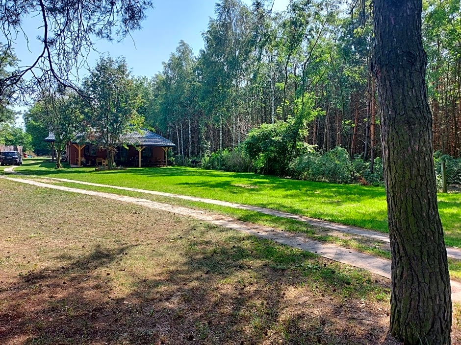 Dom imprezowy z noclegami Dziecinów