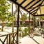 Petit Lafitte Beach Front Hotel & Bungalows