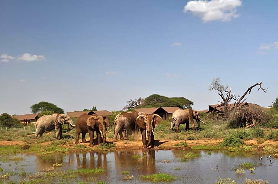 Kilima Safari Camp