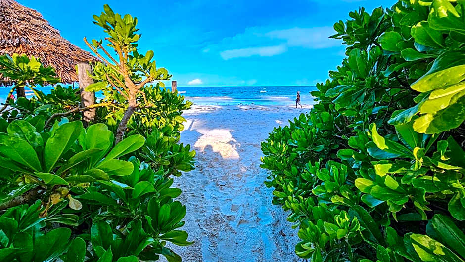 Zoi Retreat Hotel Zanzibar