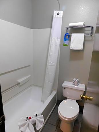 Deluxe King Studio Suite - Non-Smoking