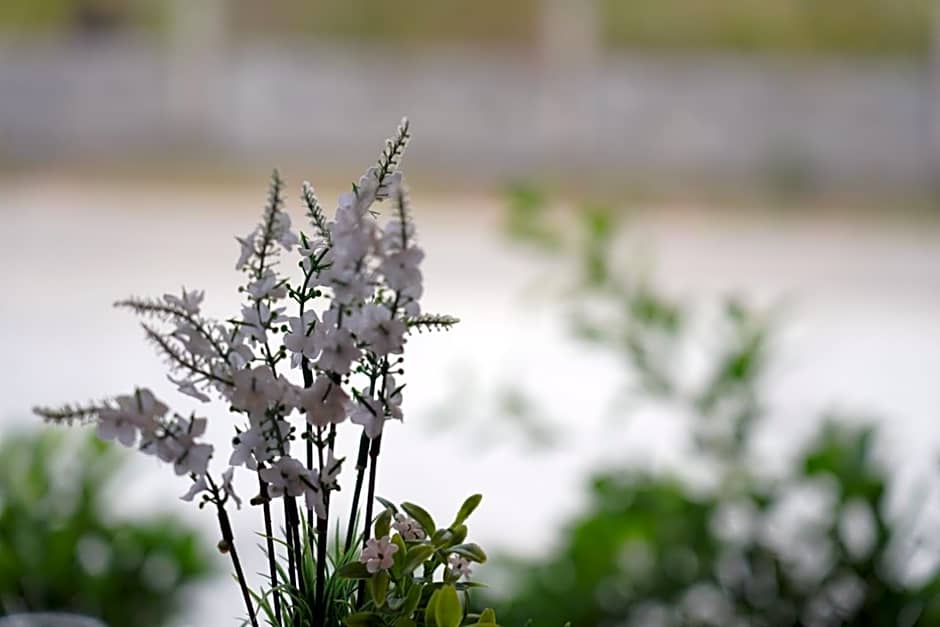 The charlotte smart hotel lopburi