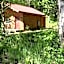 Birch Cabin